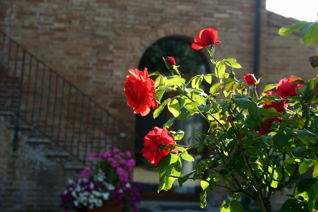 Willa Fattoria Armena Buonconvento Zewnętrze zdjęcie